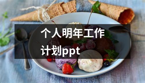 个人明年工作计划ppt