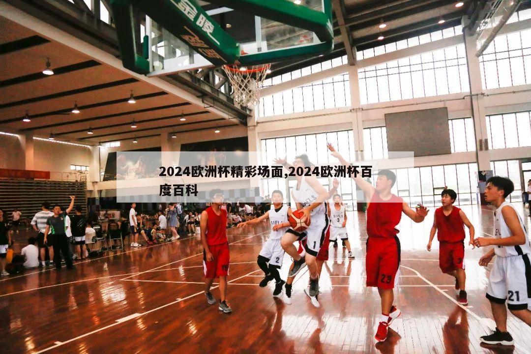 2024欧洲杯精彩场面,2024欧洲杯百度百科