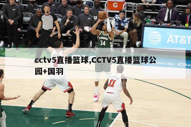 cctv5直播篮球,CCTV5直播篮球公园+国羽