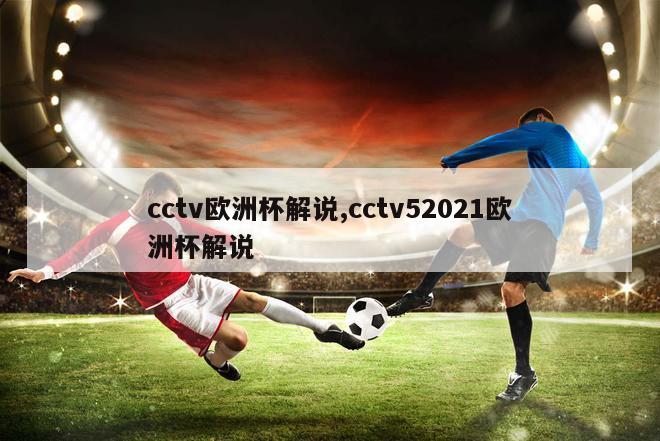 cctv欧洲杯解说,cctv52021欧洲杯解说