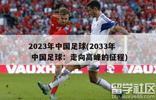 2023年中国足球(2033年 中国足球：走向高峰的征程)