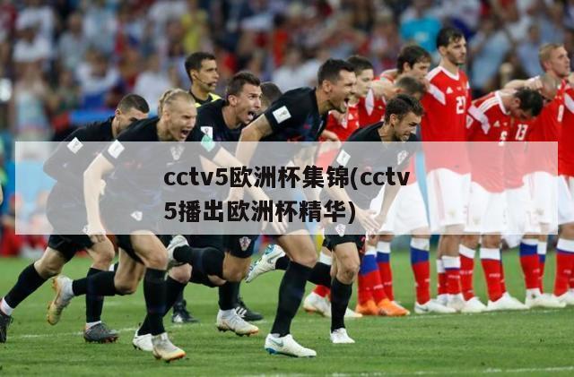 cctv5欧洲杯集锦(cctv5播出欧洲杯精华)