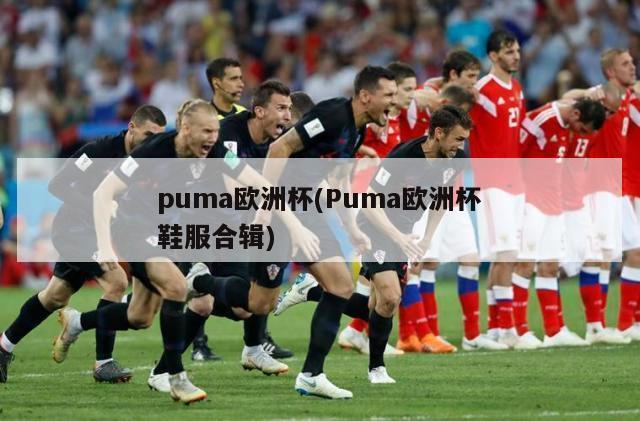 puma欧洲杯(Puma欧洲杯鞋服合辑)