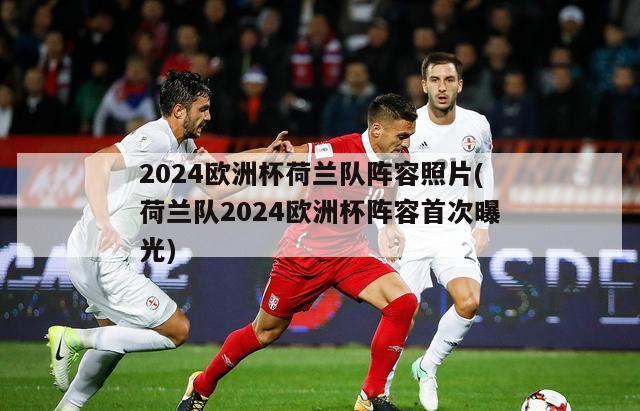 2024欧洲杯荷兰队阵容照片(荷兰队2024欧洲杯阵容首次曝光)