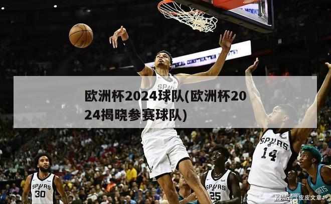 欧洲杯2024球队(欧洲杯2024揭晓参赛球队)