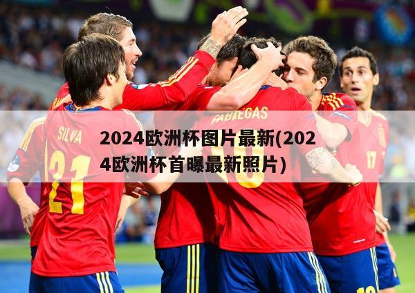 2024欧洲杯图片最新(2024欧洲杯首曝最新照片)